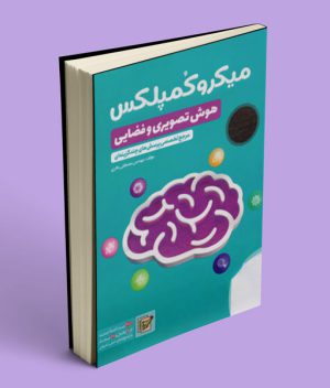 میکرو کمپلکس هوش تصویری و فضایی مهروماه